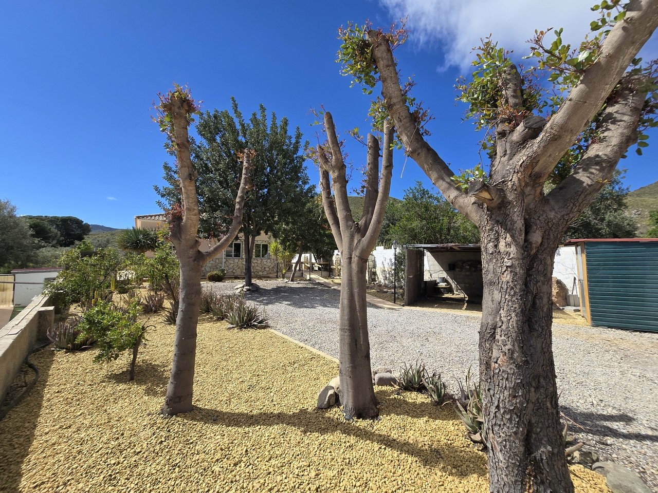 Villa for sale in Cantoria