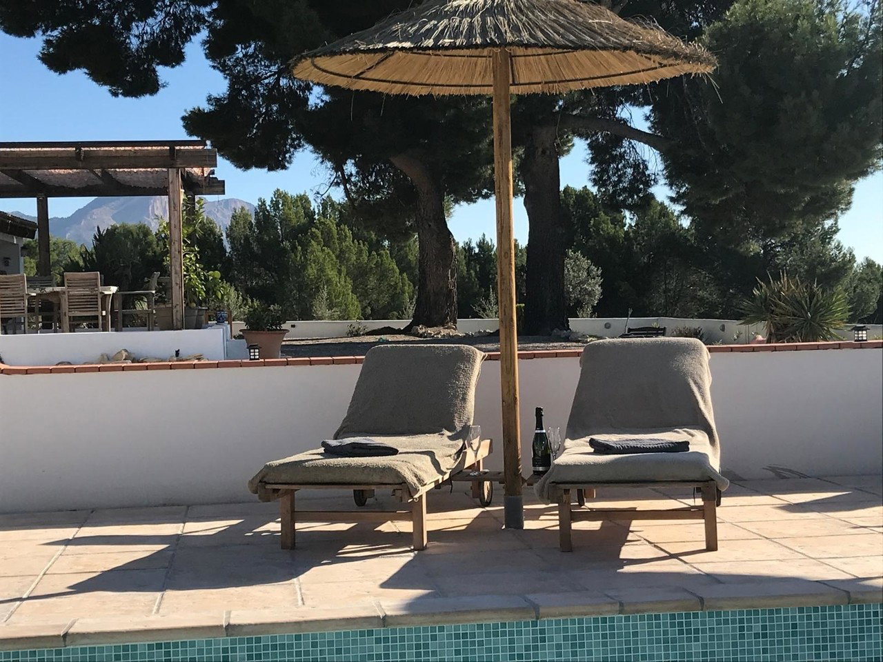 Finca for sale in Chirivel