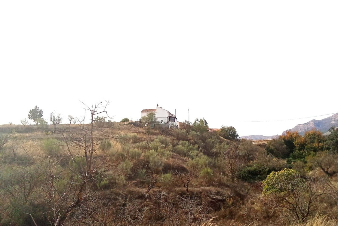 1170
