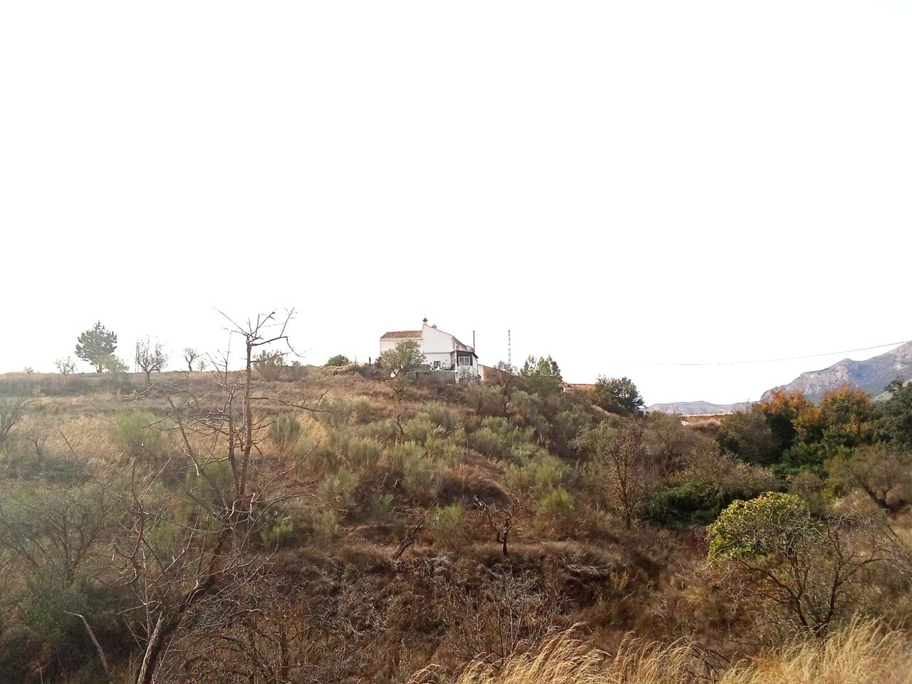 Finca for sale in Chirivel