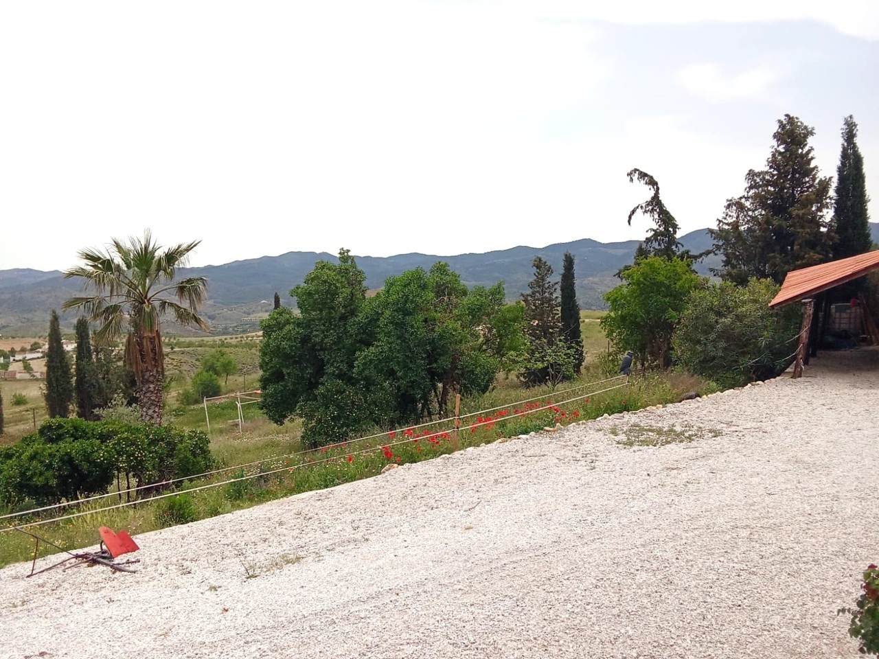 DP-17-E327-11 Finca for sale in Lorca
