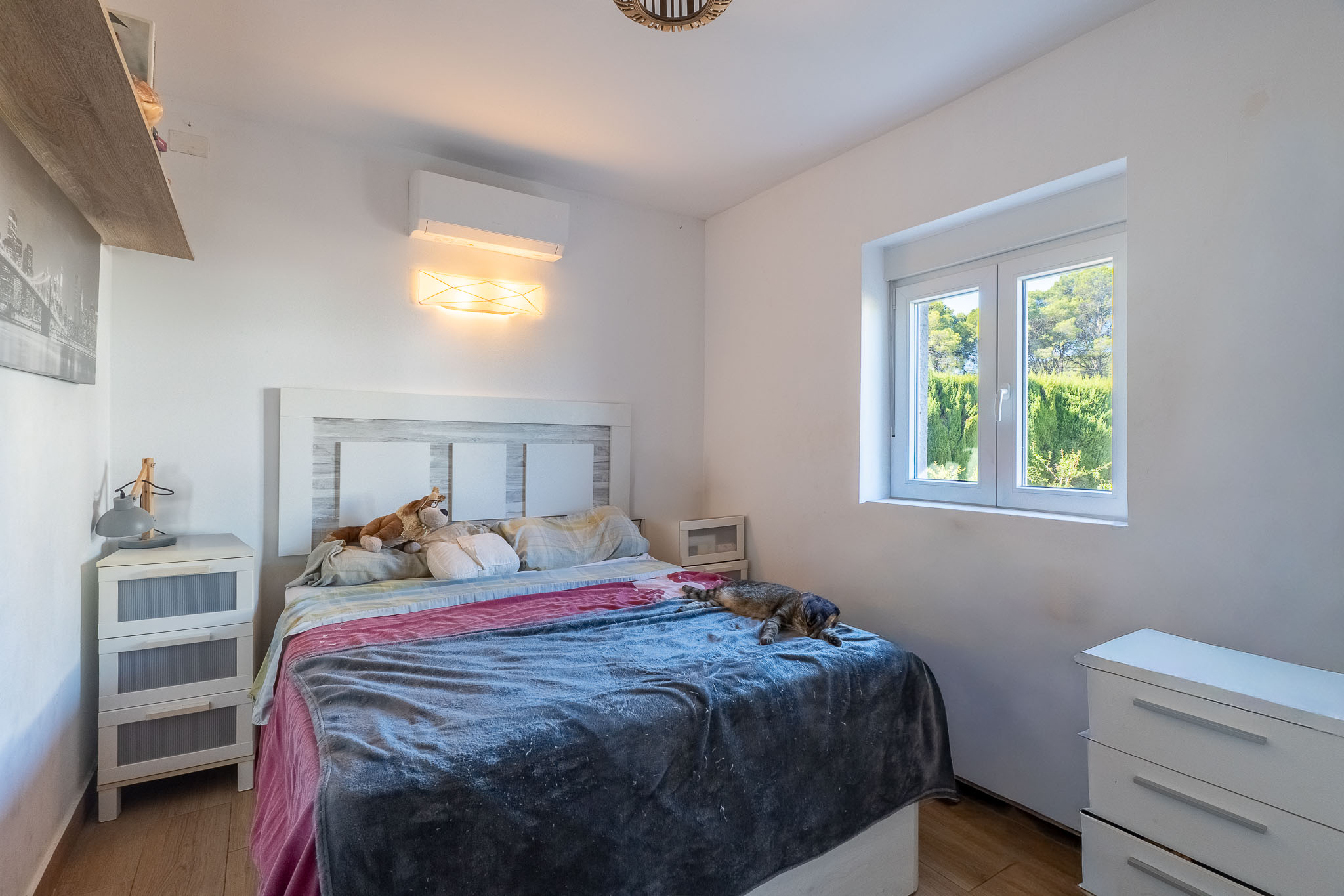 DP-40-4679JAV-13 for sale in Javea