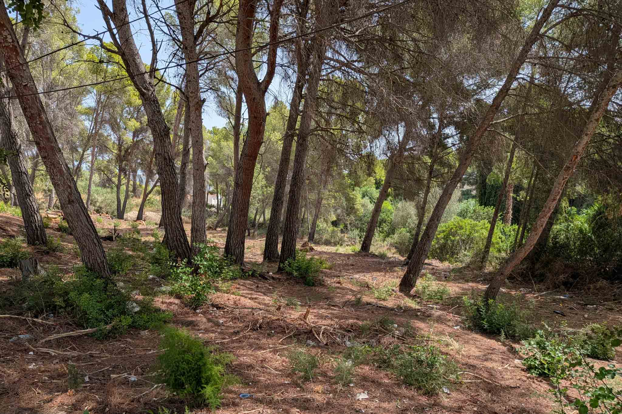 Land for sale in Moraira