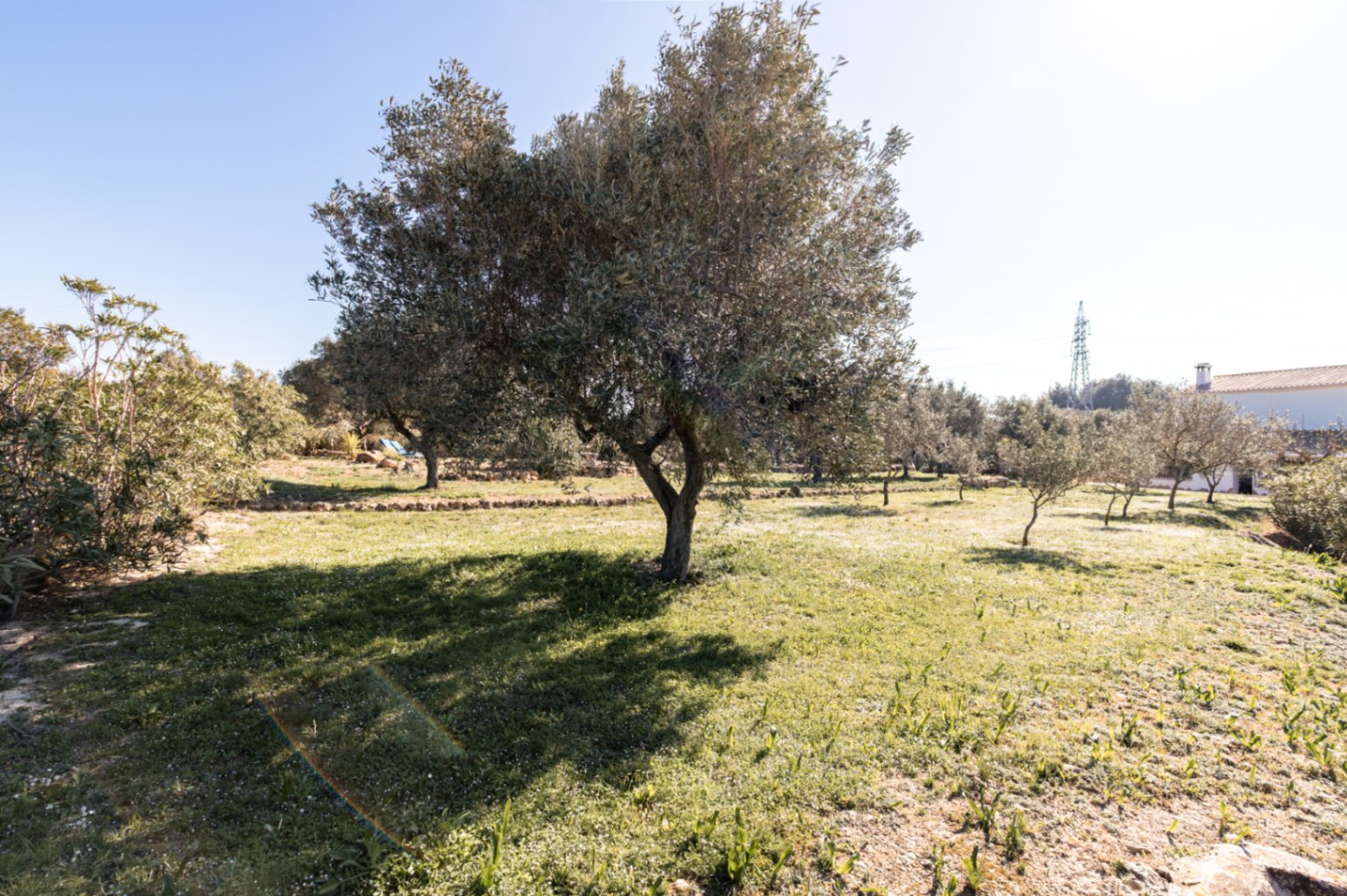 Finca for sale in Teulada