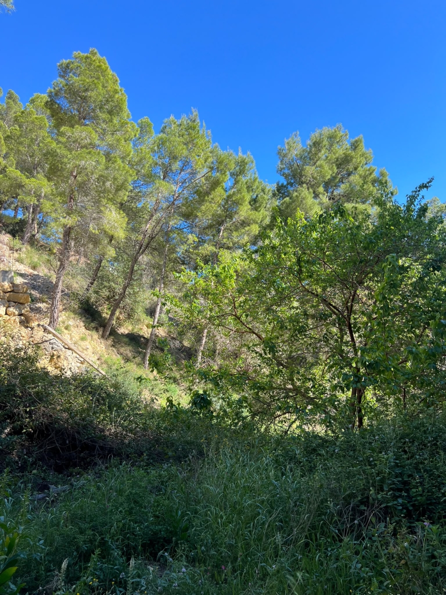 Land for sale in Altea