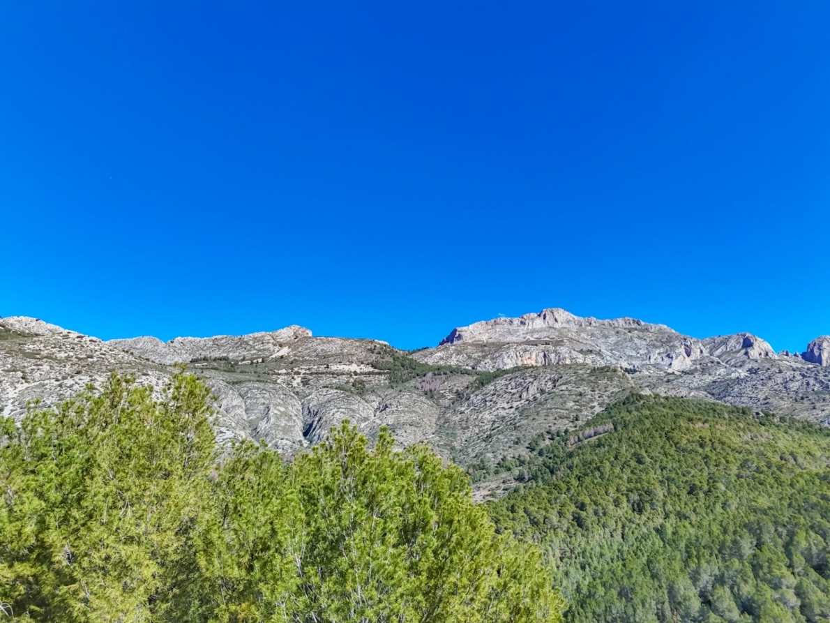 DP-55-359910535-11 Land for sale in Callosa d’en Sarrià