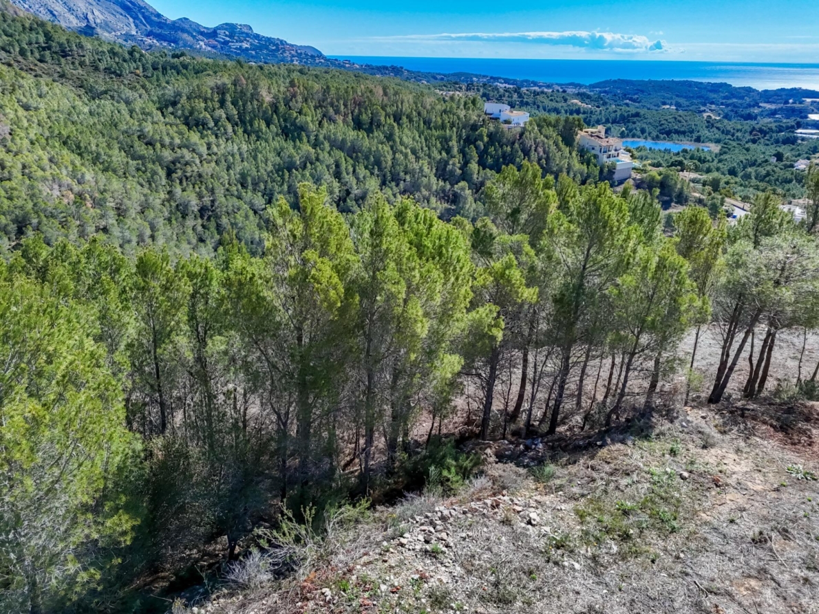 DP-55-359910535-2 Land for sale in Callosa d’en Sarrià