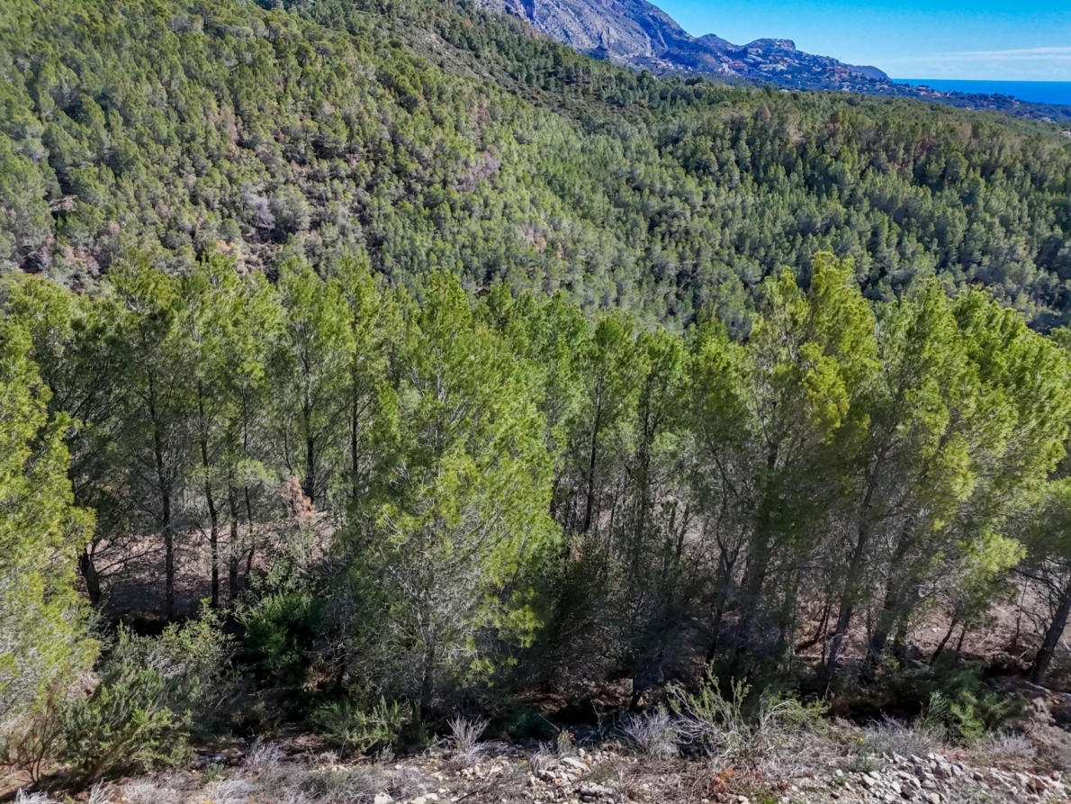 DP-55-359910535-3 Land for sale in Callosa d’en Sarrià