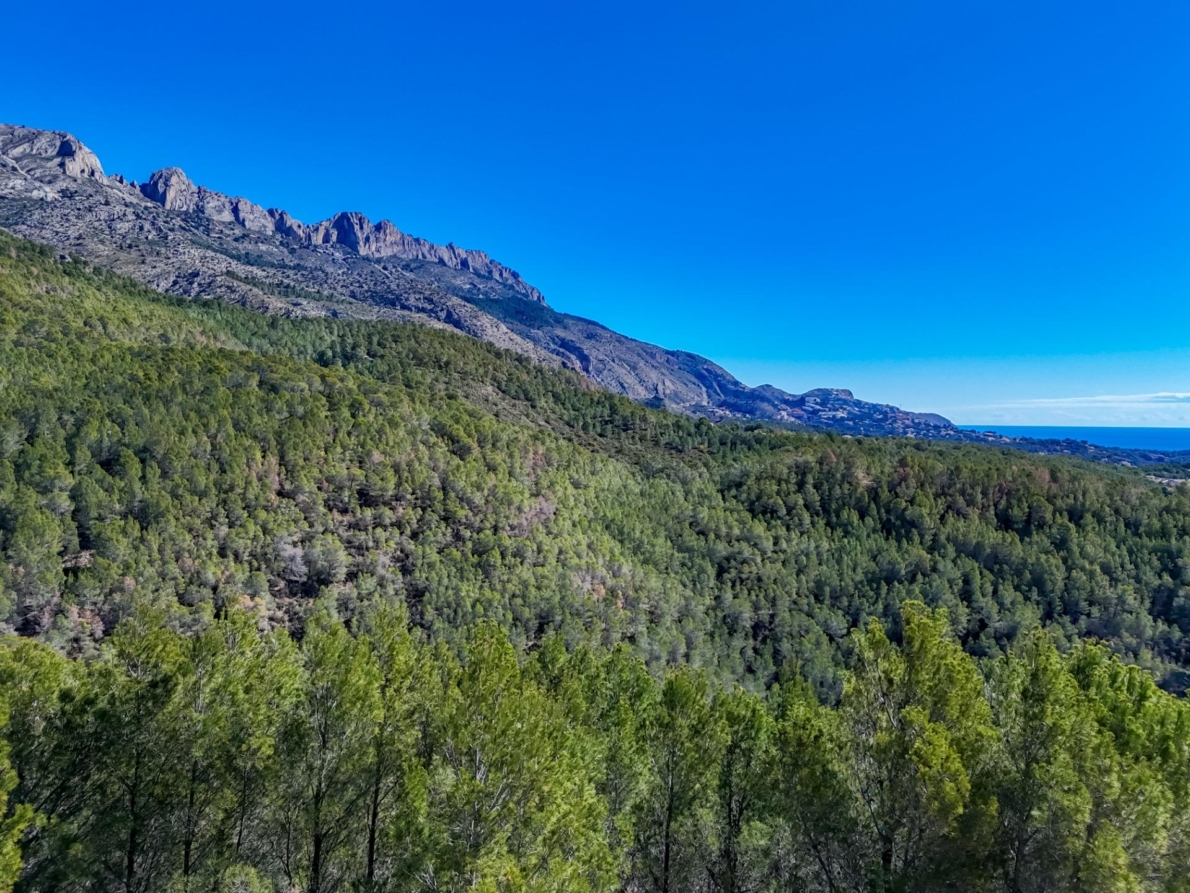 DP-55-359910535-4 Land for sale in Callosa d’en Sarrià