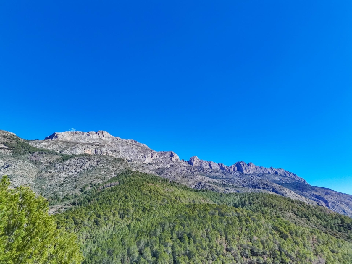 DP-55-359910535-6 Land for sale in Callosa d’en Sarrià