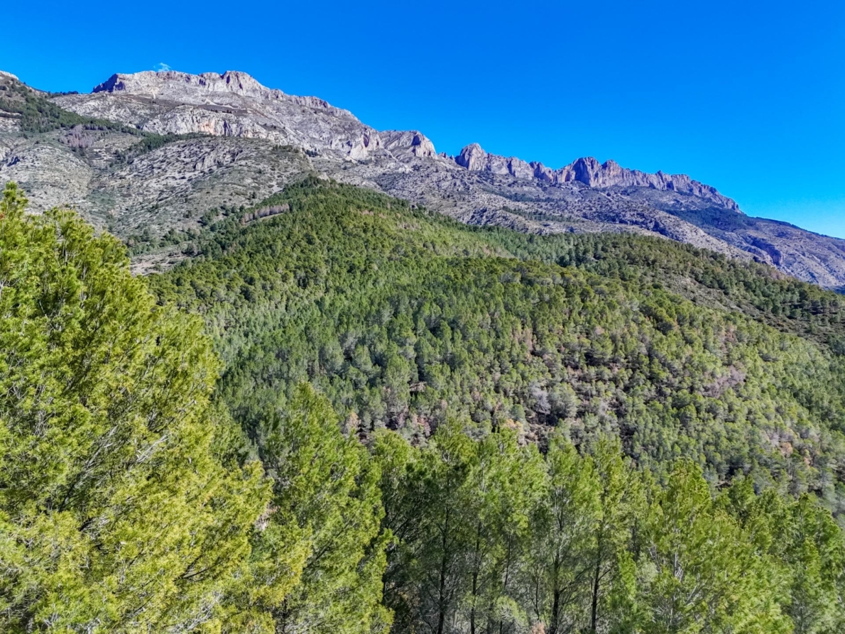 DP-55-359910535-7 Land for sale in Callosa d’en Sarrià