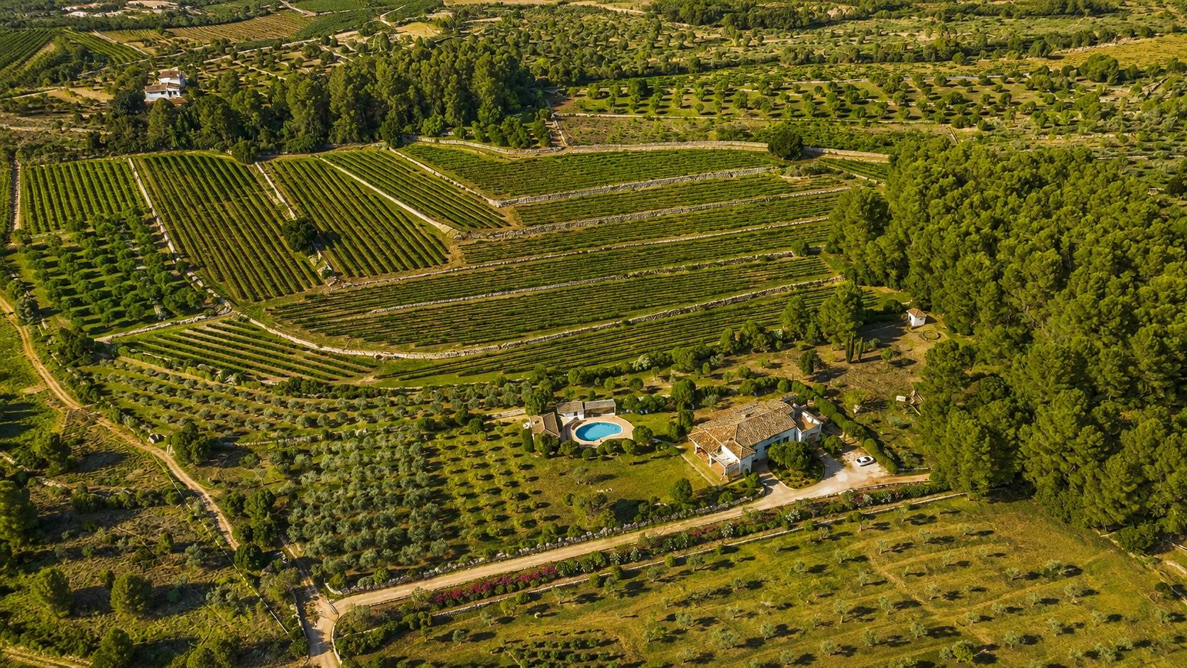 DP-71-PG67404038-2 Villa for sale in Jalon – Xalo