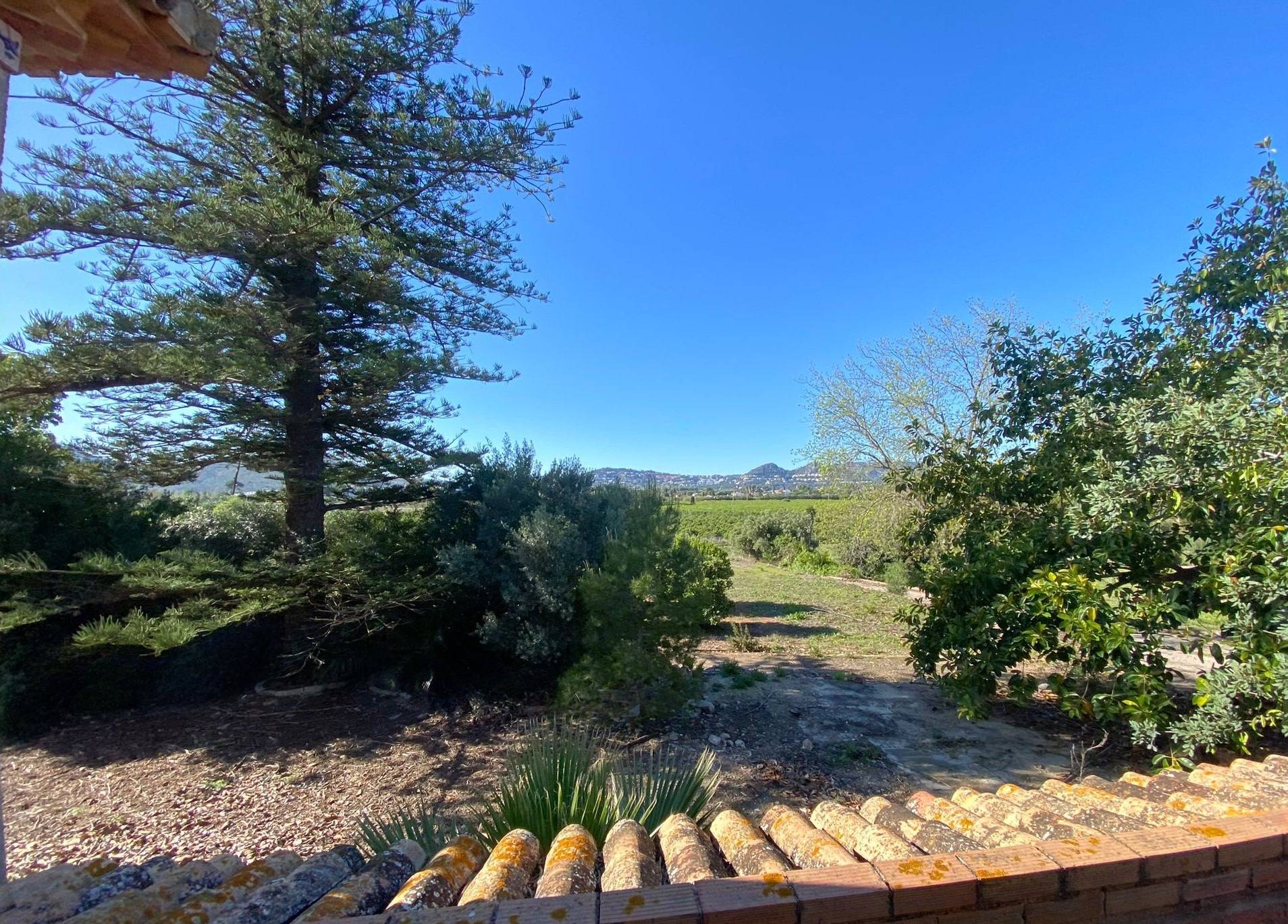 Finca for sale in Denia