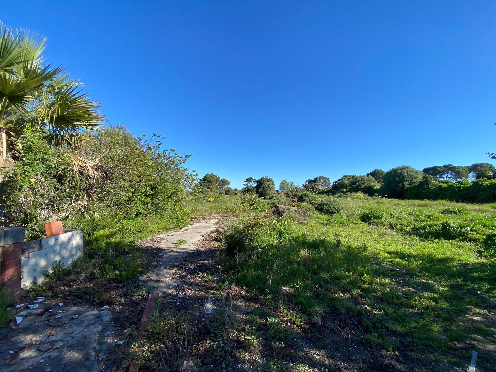 Finca for sale in Denia