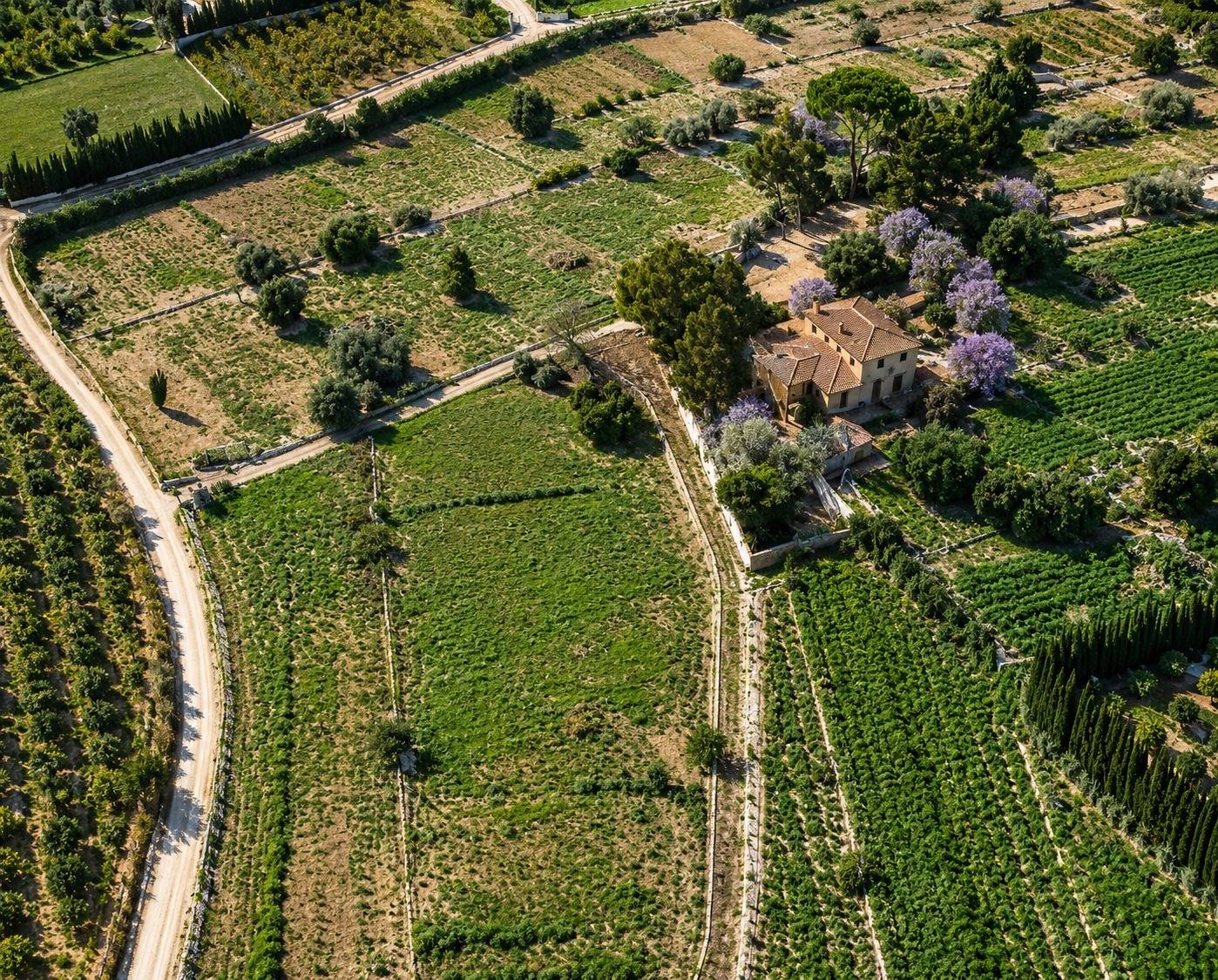 Finca for sale in Denia