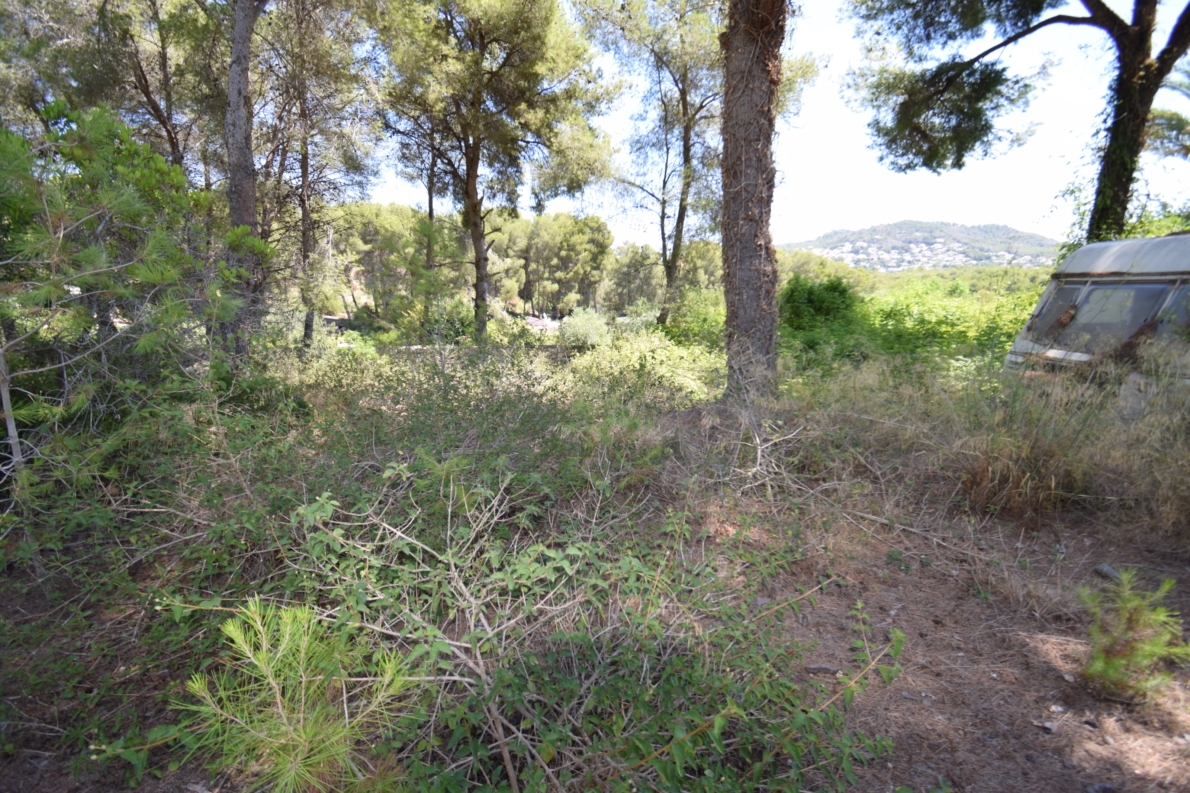 Rural Land for sale in Jávea / Xàbia