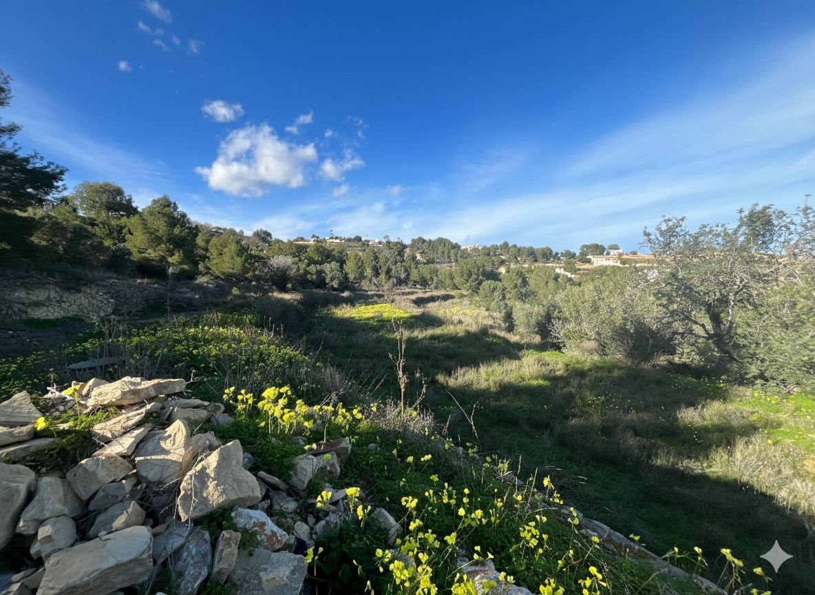 Country Estate for sale in Benissa