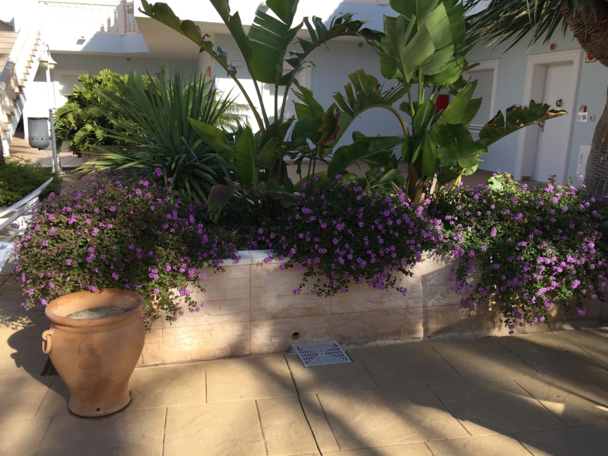 DP-03-CBD1508-14 Apartment for sale in Benissa