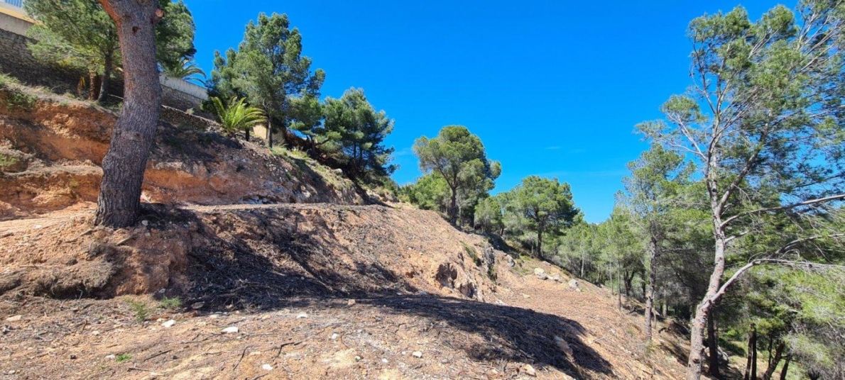 Land for sale in Calpe