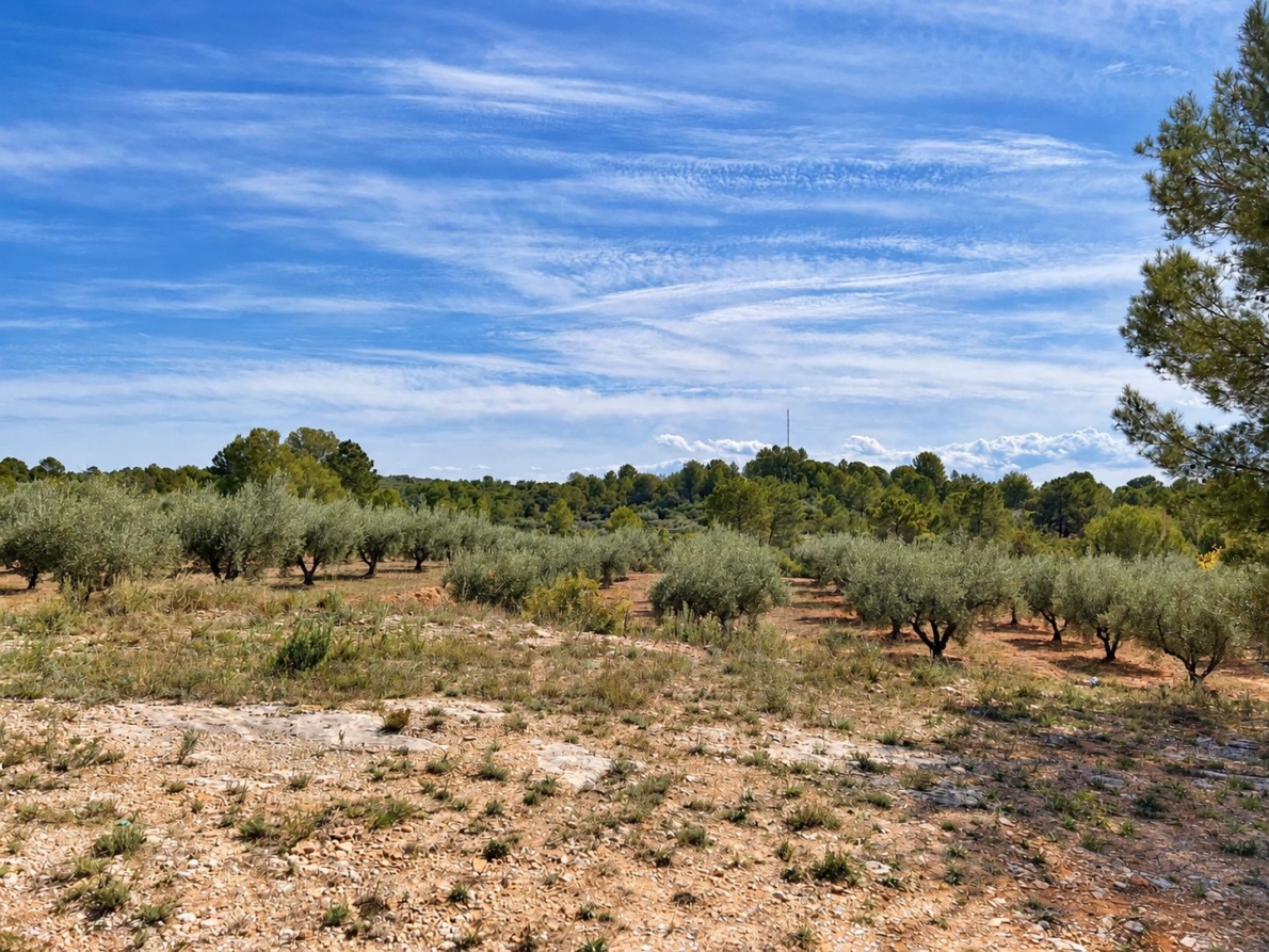 Villa for sale in Cuatretonda