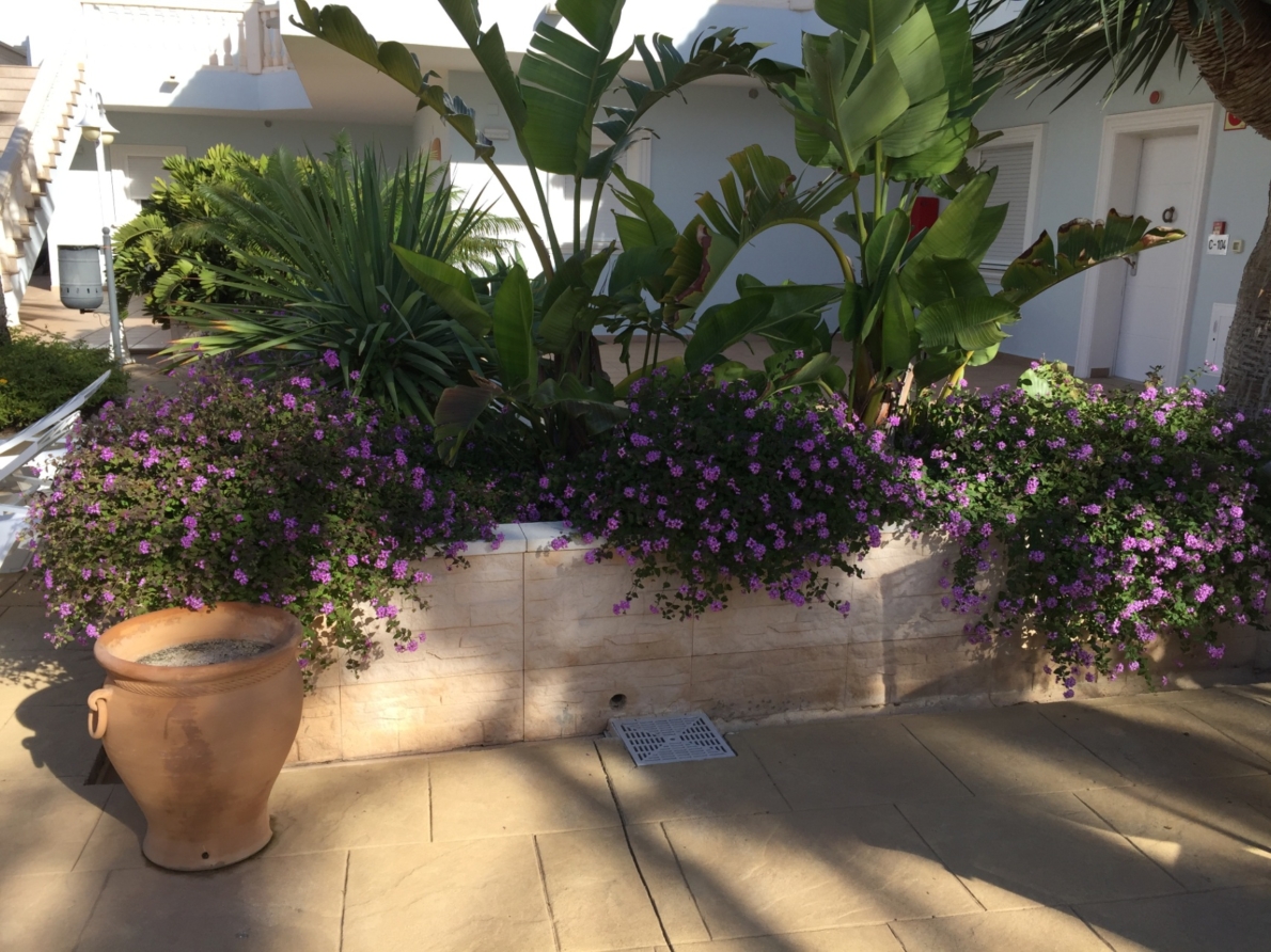 Apartment for sale in Benissa