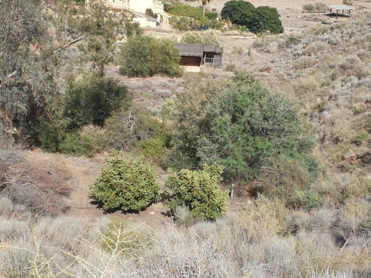 Villa for sale in Los Gallardos