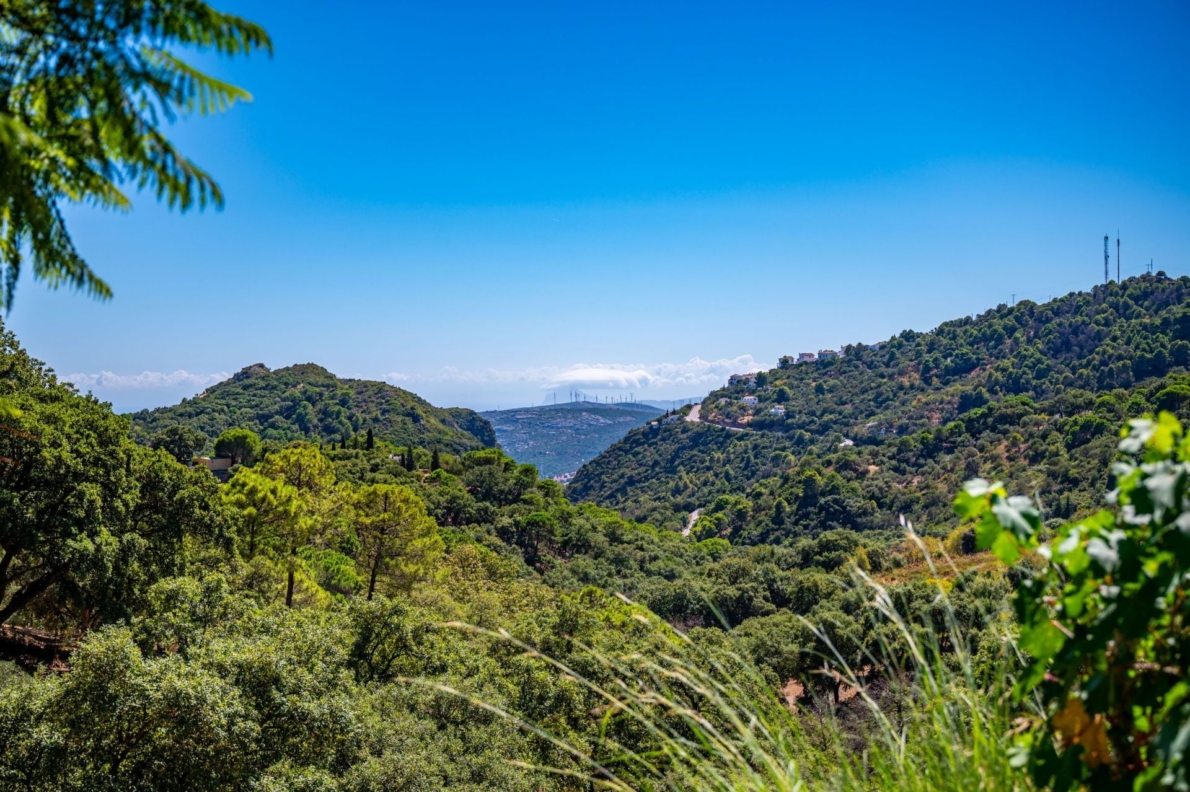 DP-52-F5521054-39 Finca for sale in Casares