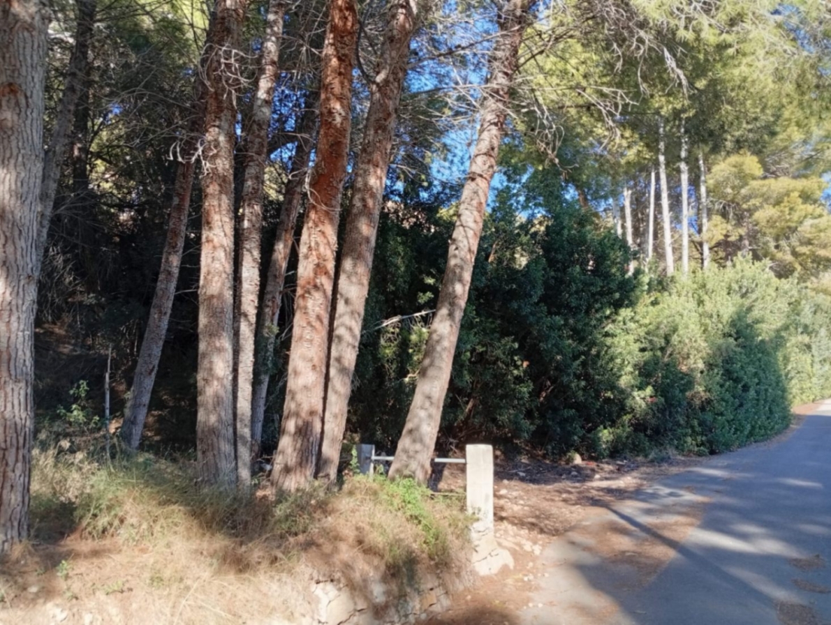 Land for sale in Calpe