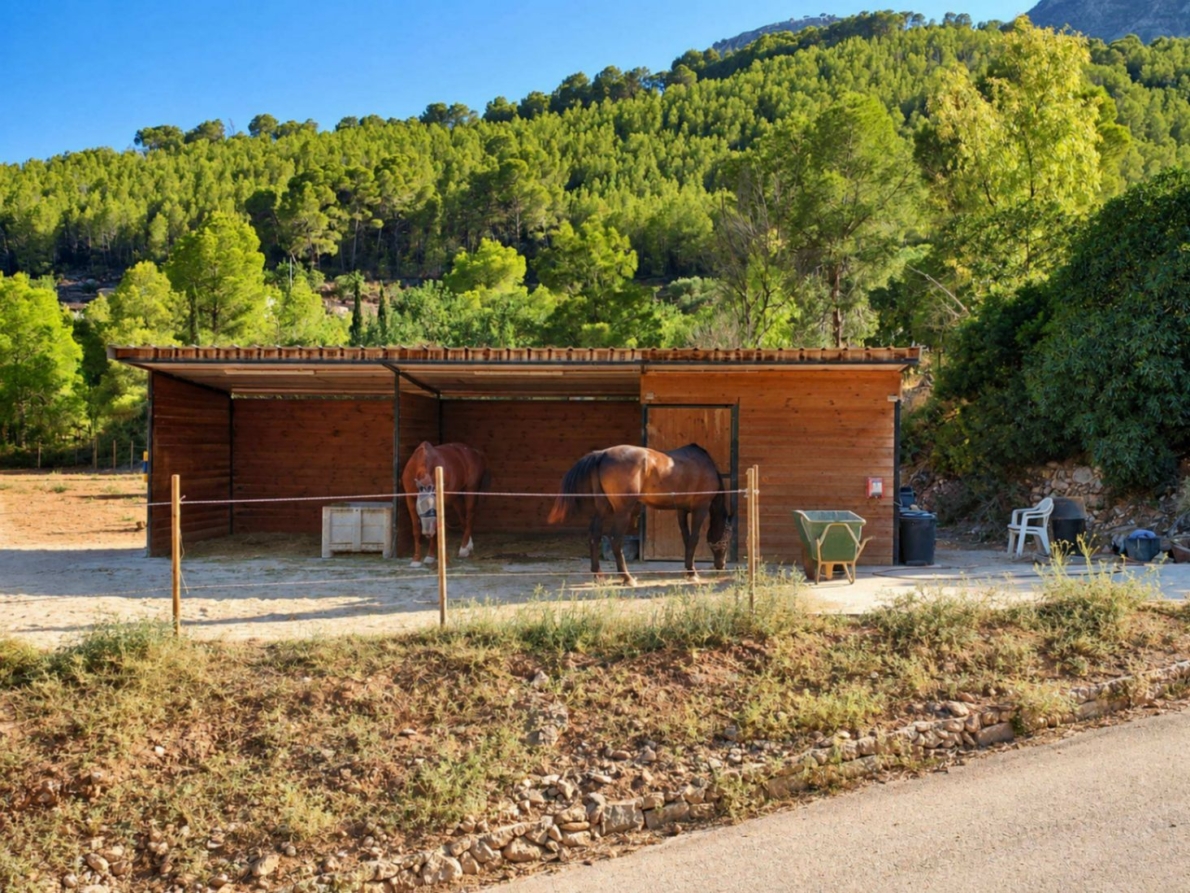 DP-69-6645-12 Finca for sale in Calpe
