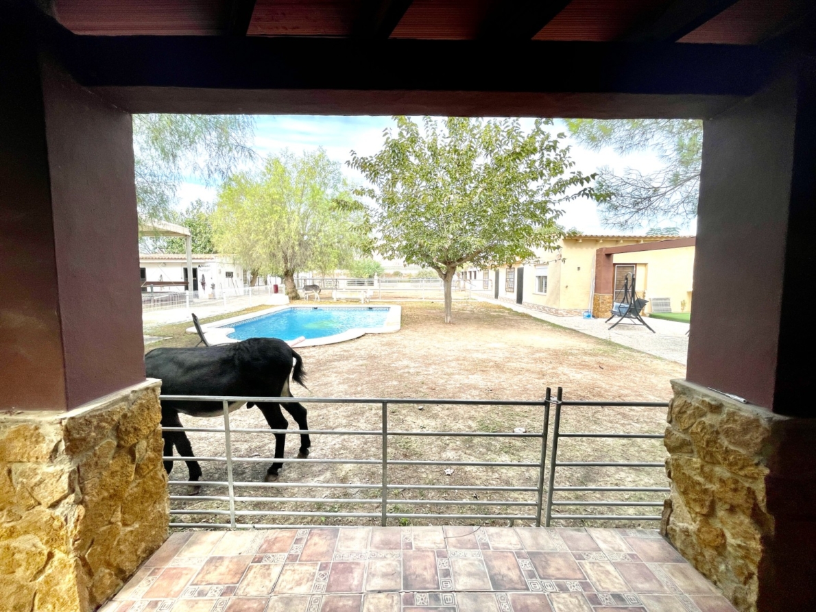 DP-75-SLS1618-19 Finca for sale in Orihuela