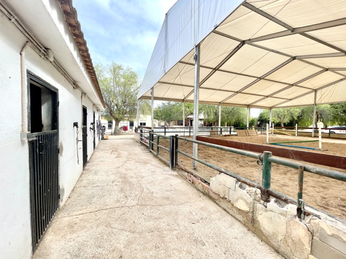 DP-75-SLS1618-2 Finca for sale in Orihuela