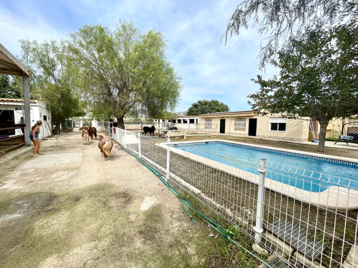 DP-75-SLS1618-3 Finca for sale in Orihuela