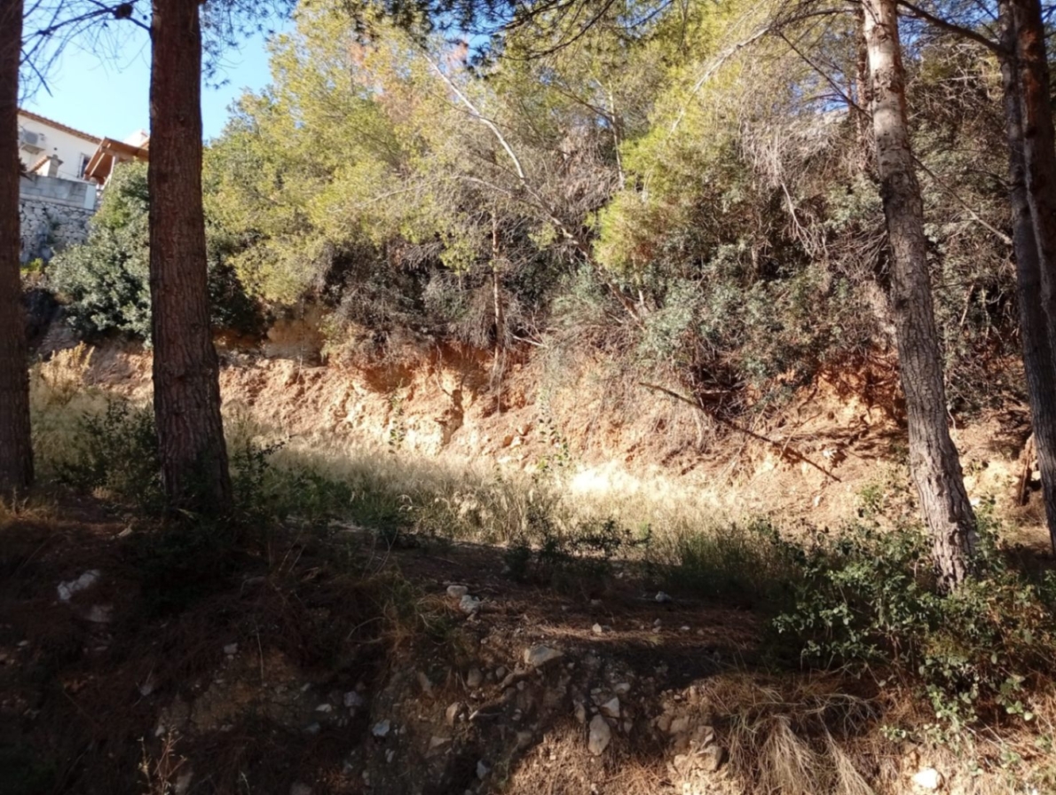 Land for sale in Calpe