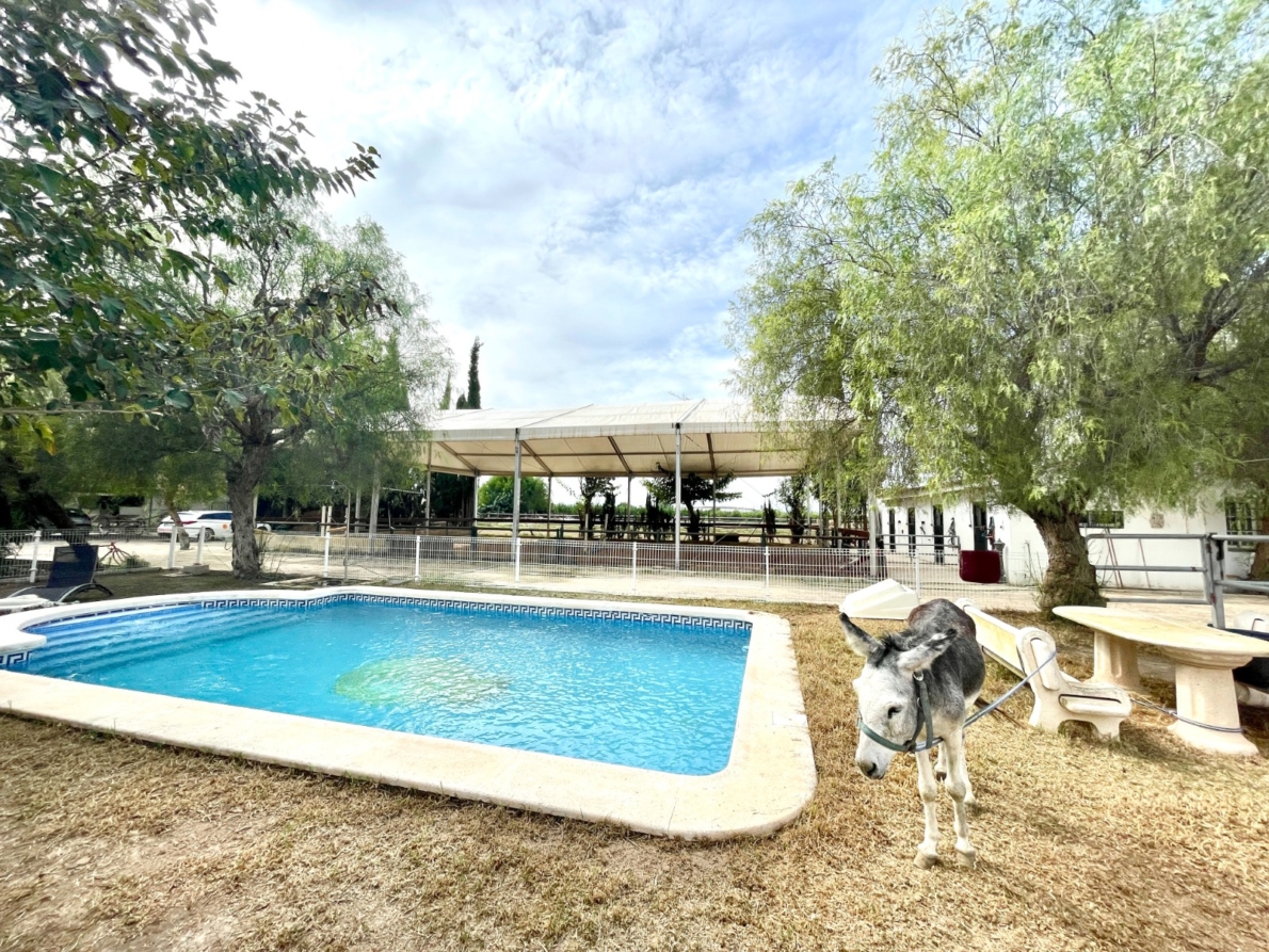 Finca for sale in Orihuela